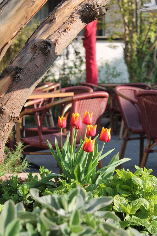 Hotel Koelner Hof Refrath Bergisch Gladbach Ngoại thất bức ảnh